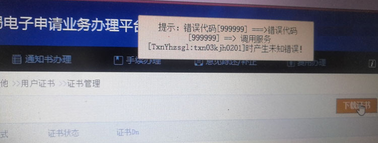 数字证书下载提示错误代码999999